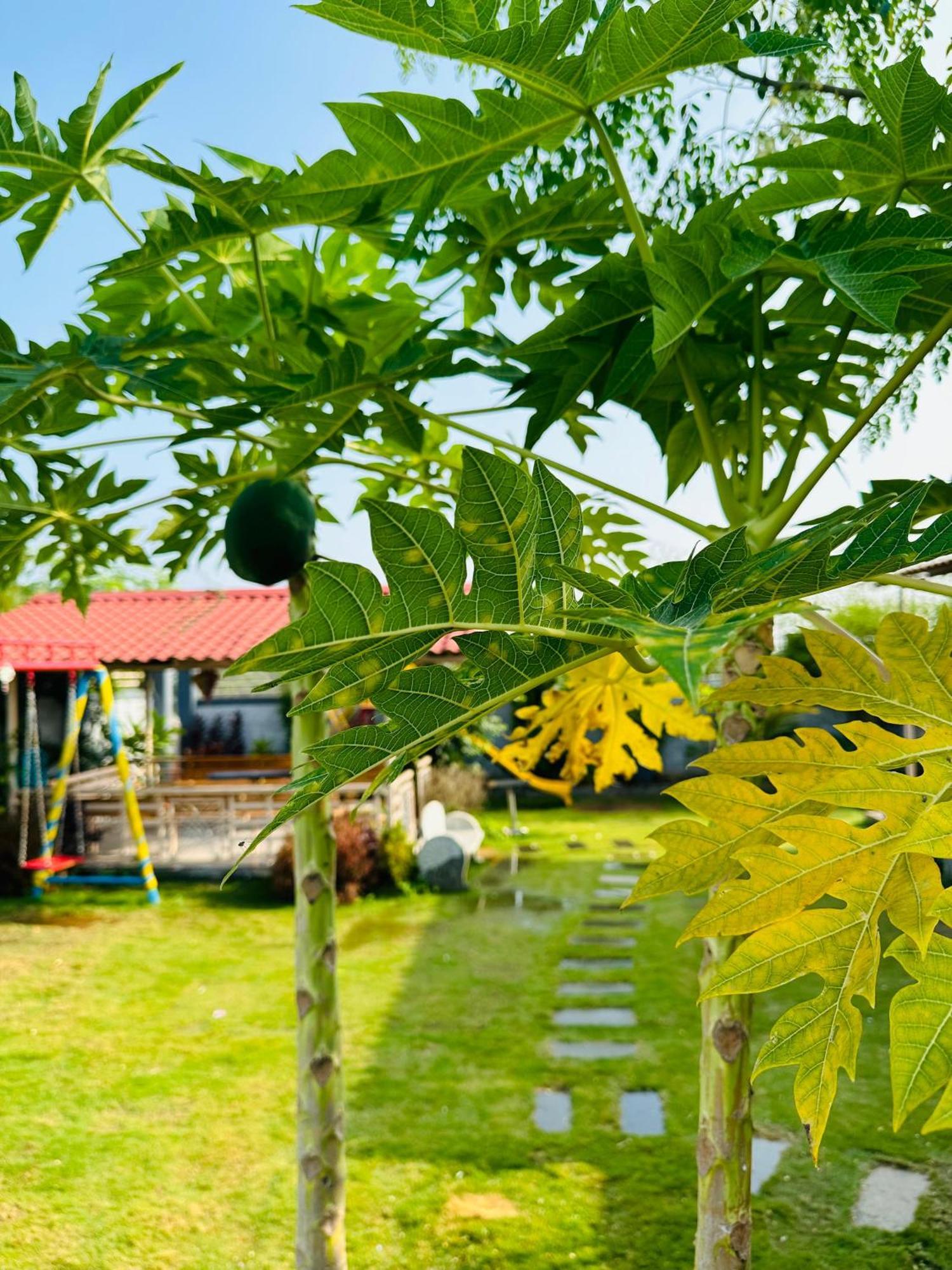 Pk Sahara Farm Stay Mysore Ngoại thất bức ảnh